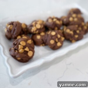 Chocolate Peanut Butter Swirl Cookies 2 Chocolate Peanut Butter Cake Mix Cookies