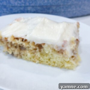 Cinnamon Roll Poke Cake
