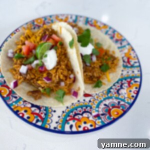 Savory Turkey and Rice Tacos, perfect for a quick and budget-friendly dinner.