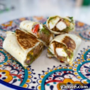 Delicious Chicken Burrito