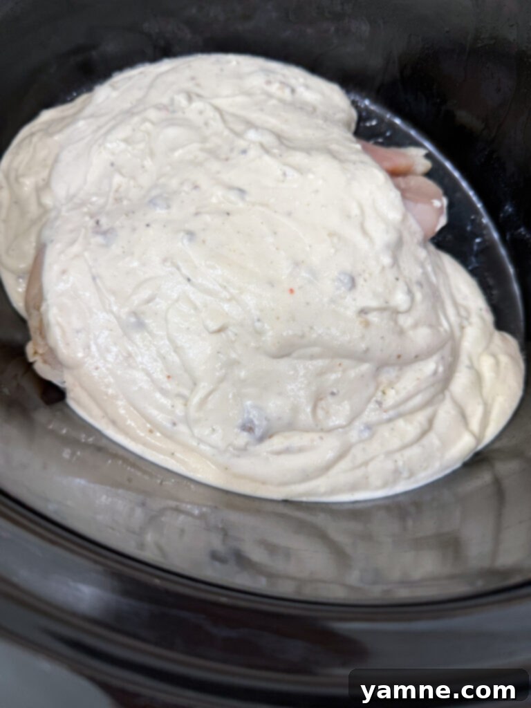 Cover chicken in creamy sauce