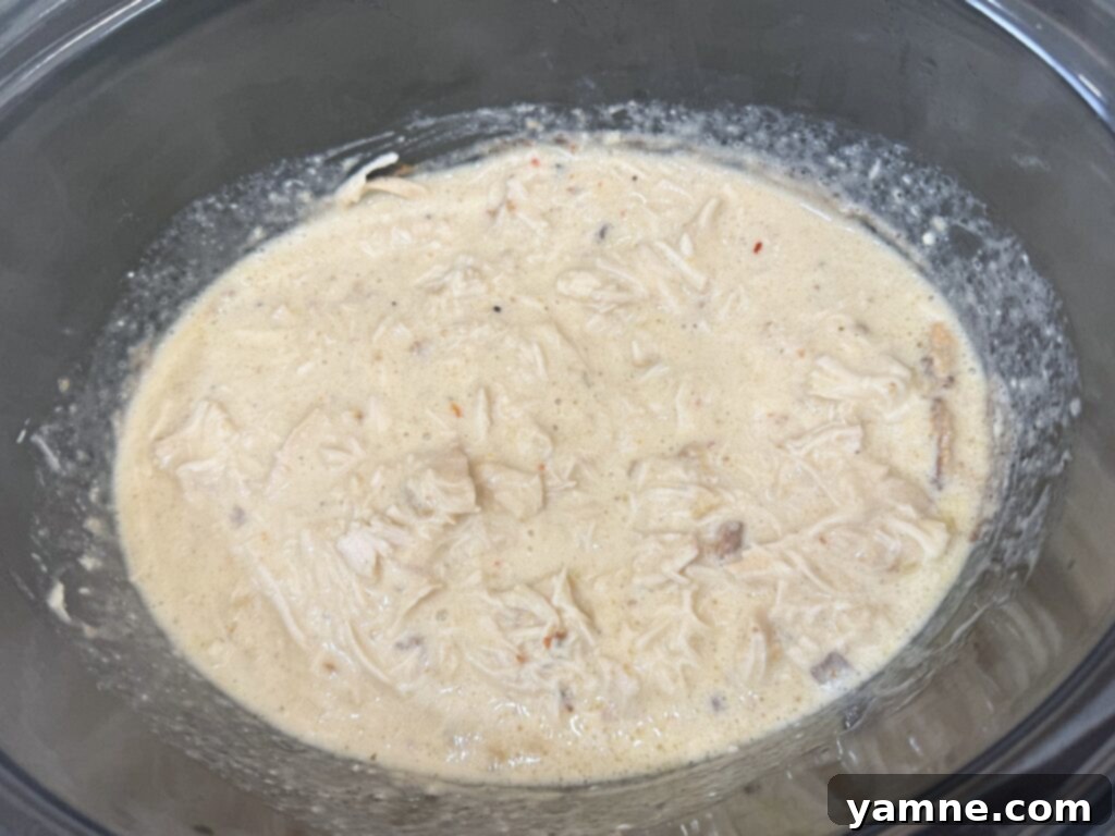 Shred creamy chicken