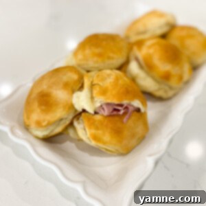 Ham and Cheese Biscuits Delight 2 Delicious Ham and Cheese Biscuits