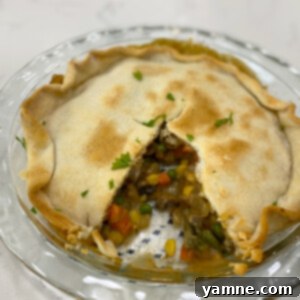 Savory Garden Pot Pie 2 Vegetable Pot Pie