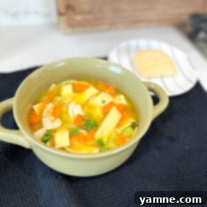 Homemade Chicken Noodle Soup
