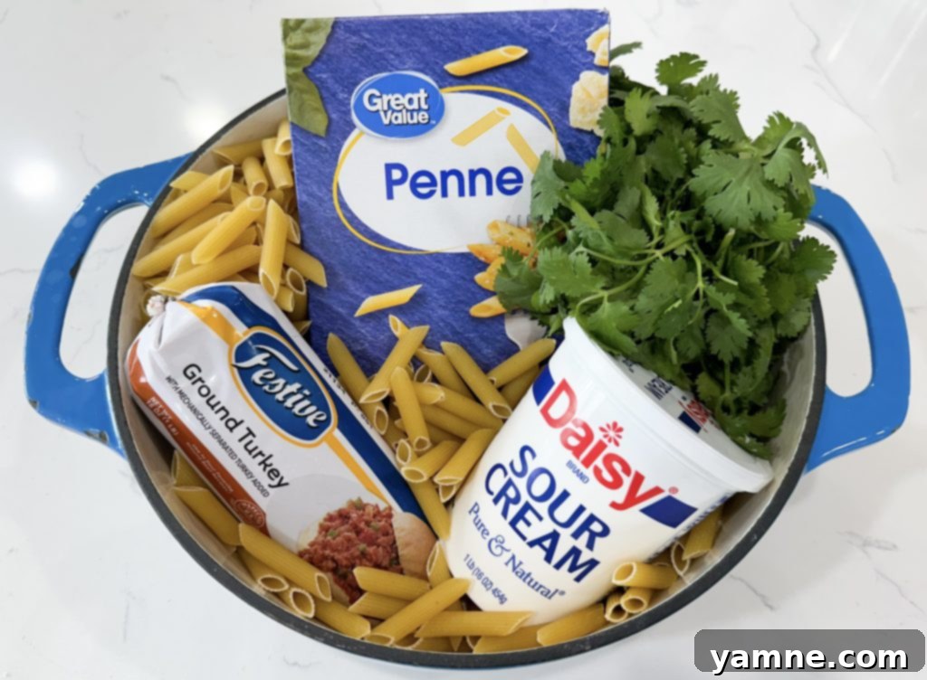 One-pot ground turkey pasta dish in a large pot with Southwest flavors.