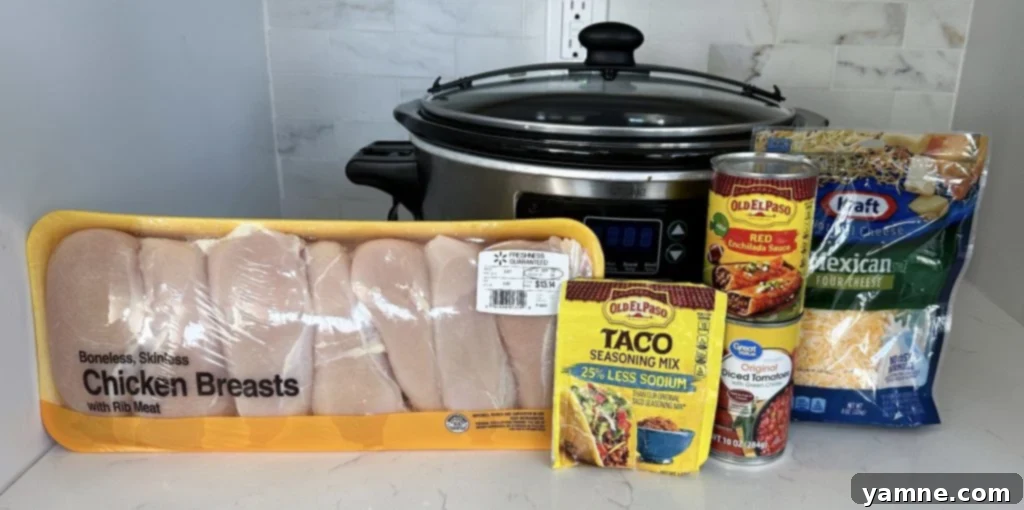 Effortless Chicken Tortilla Soup: A Slow Cooker Delight 2 Slow cooker chicken tortilla soup ingredients