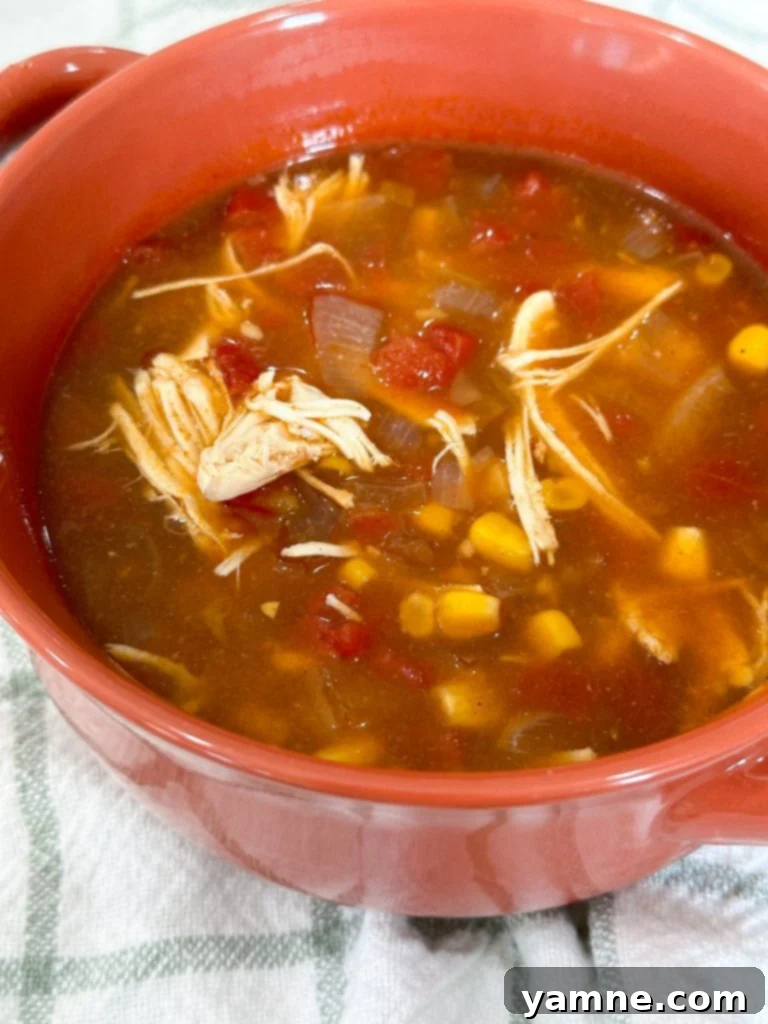 Effortless Chicken Tortilla Soup: A Slow Cooker Delight 5 Slow cooker chicken tortilla soup served with toppings