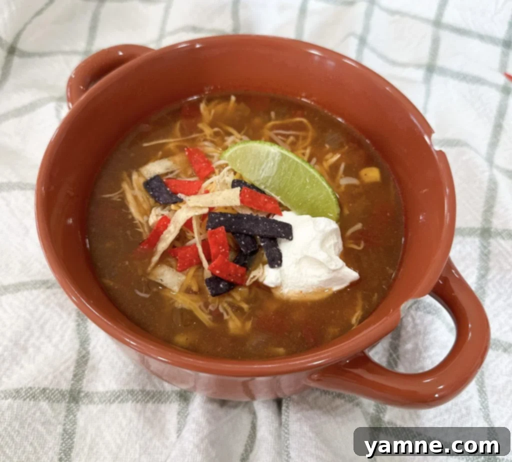 Effortless Chicken Tortilla Soup: A Slow Cooker Delight 6 Bowl of slow cooker chicken tortilla soup