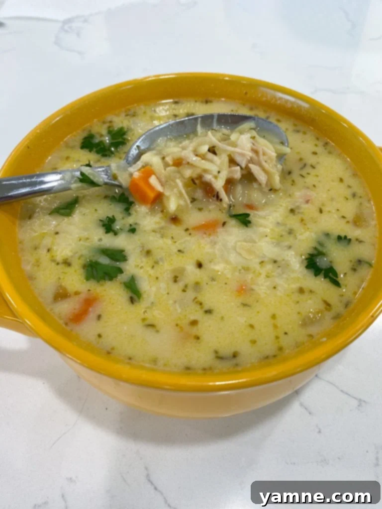 Creamy Chicken Orzo Soup, served in a white bowl with a spoon