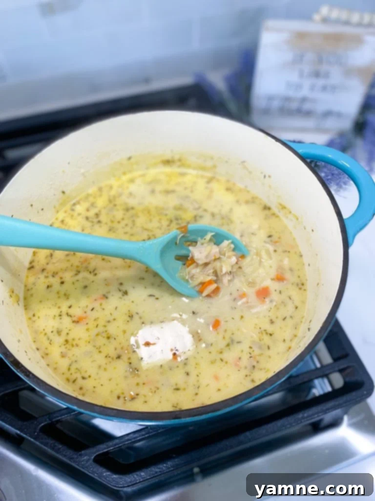 Close-up of creamy chicken orzo soup in a bowl, with herbs as garnish