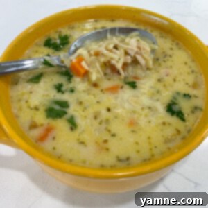 A bowl of Creamy Chicken Orzo Soup with a spoon