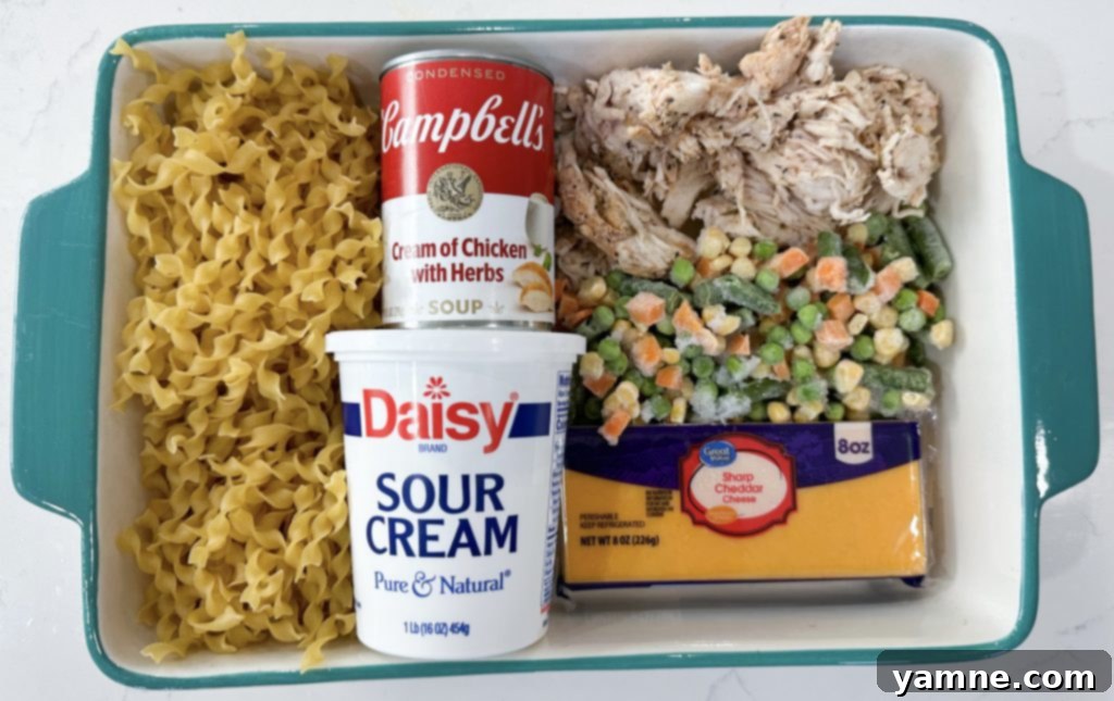 A golden-brown chicken noodle casserole in a baking dish, topped with bubbling melted cheese and fresh herbs, ready to serve.