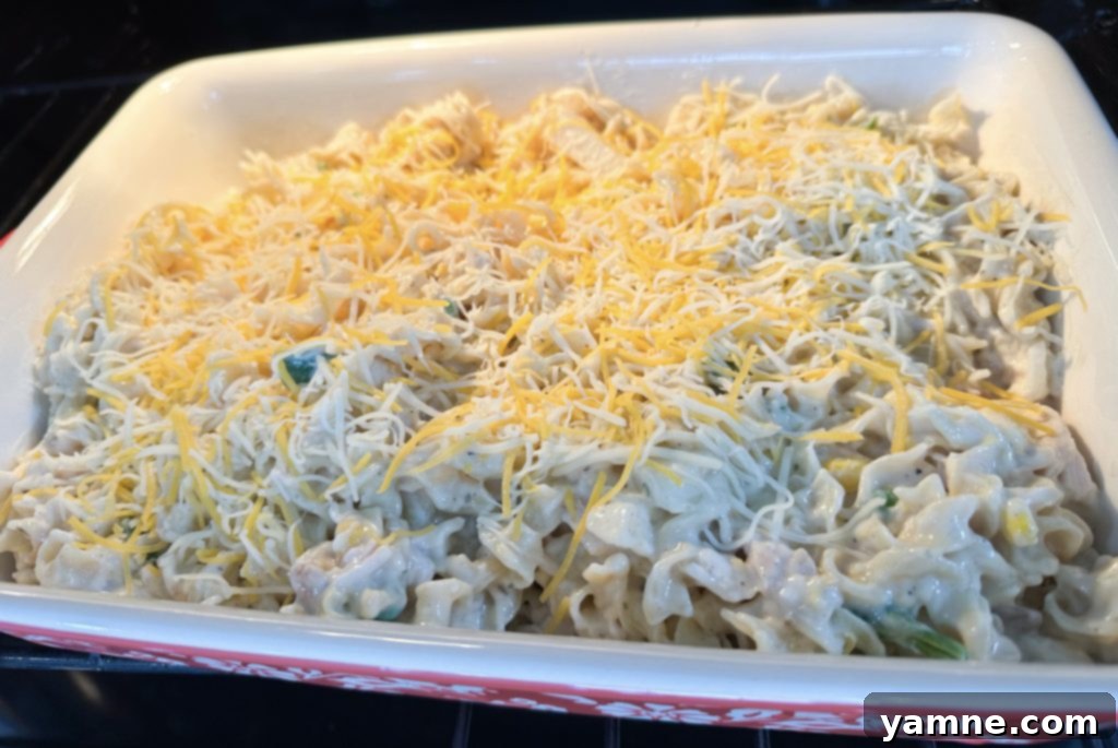 Unbaked chicken noodle casserole spread evenly in a 9x13 baking dish, topped with a generous layer of shredded cheese.