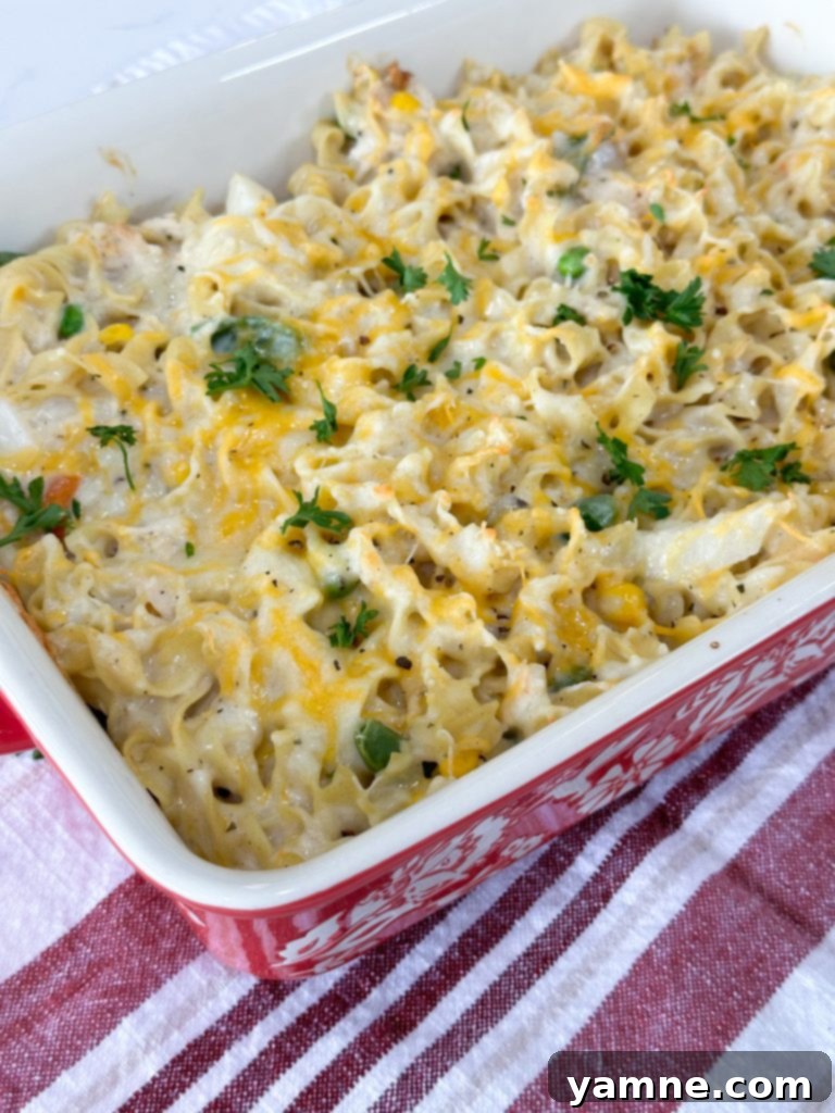 A freshly baked chicken noodle casserole in a dish, with a golden-brown and bubbly cheese topping, ready to be served.