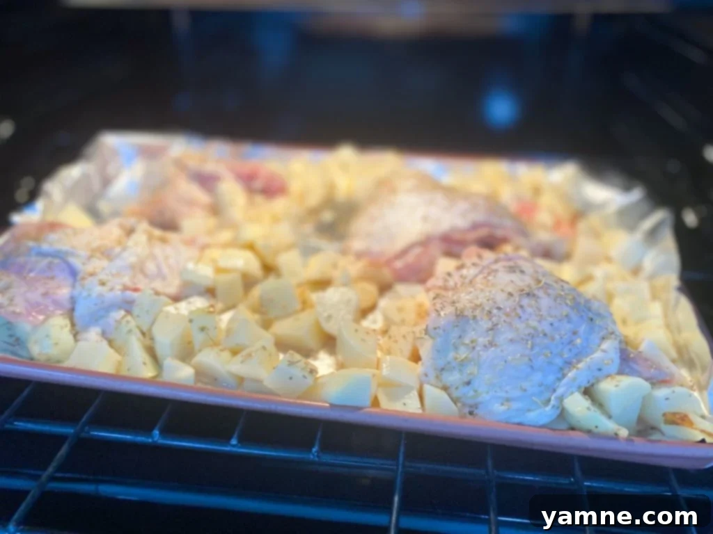Sheet Pan Greek Chicken Thighs and Potatoes, freshly baked and garnished with herbs.