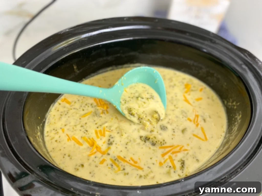 Crock-Pot Broccoli Cheddar Soup 3 Ingredients for Slow Cooker Broccoli Cheese Soup