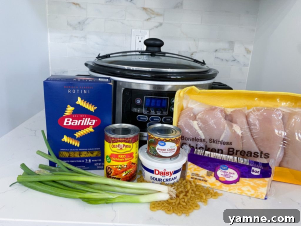 Cheesy Crockpot Enchilada Pasta 2 Close-up of a bowl of cheesy slow cooker chicken enchilada pasta, garnished with fresh cilantro.