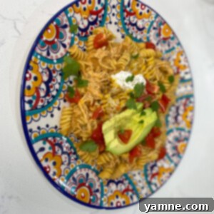 Cheesy Crockpot Enchilada Pasta 7 A top-down view of a serving of Slow Cooker Chicken Enchilada Pasta, garnished with fresh cilantro, ready to eat.