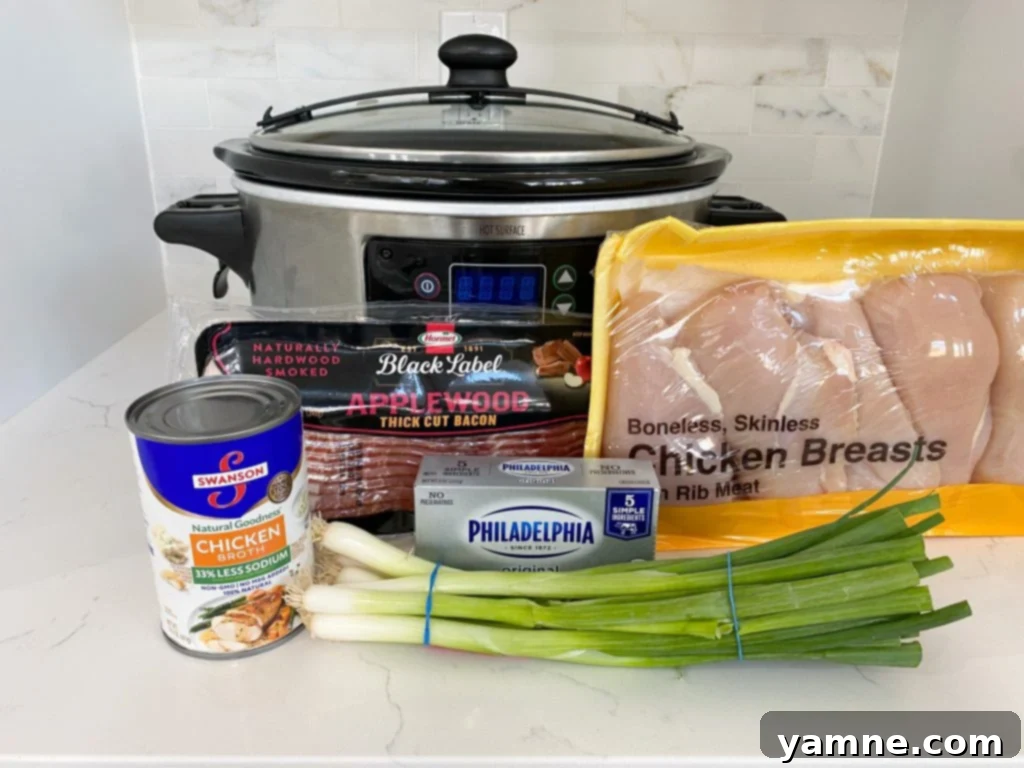 Irresistible Slow Cooker Crack Chicken Soup 2 Delicious Slow Cooker Crack Chicken Soup in a bowl with fresh herbs