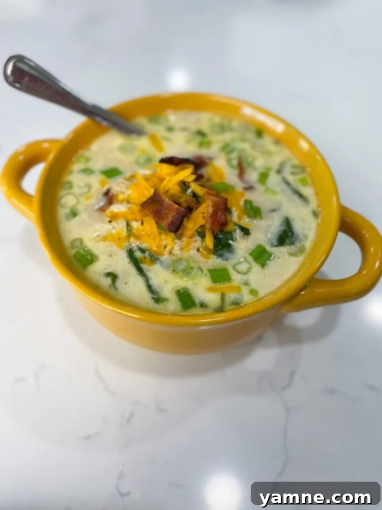 Irresistible Slow Cooker Crack Chicken Soup 3 Ingredients for Slow Cooker Crack Chicken Soup laid out