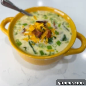 Irresistible Slow Cooker Crack Chicken Soup 5 Slow Cooker Crack Chicken Soup ready to serve