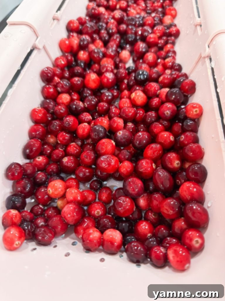 homemade cranberry sauce without gelatin