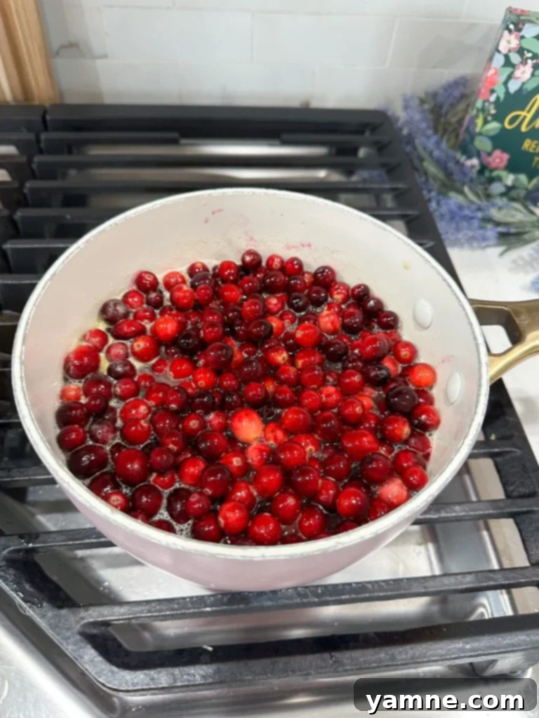homemade cranberry sauce without gelatin