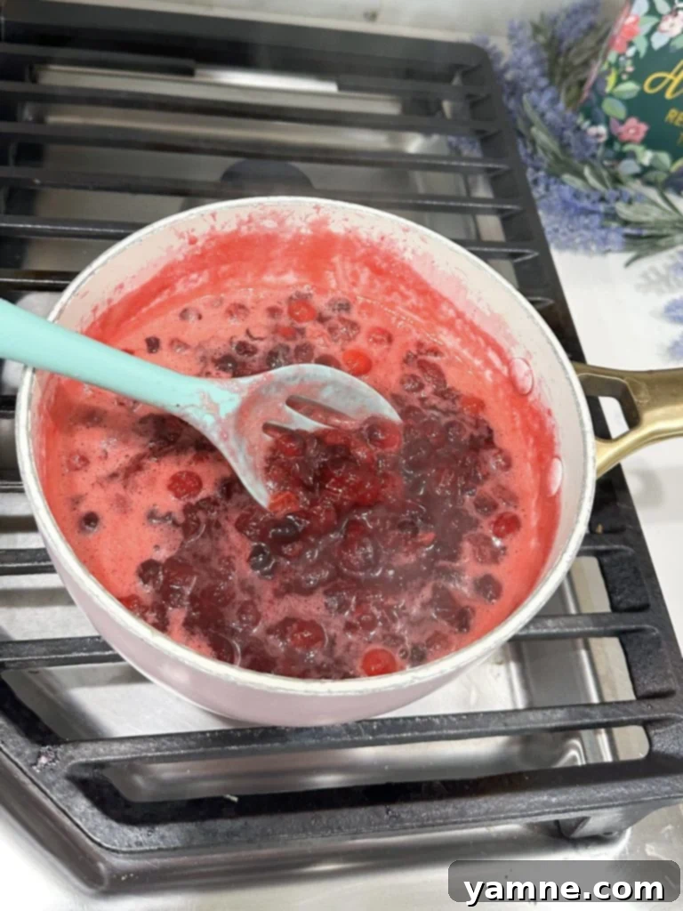 homemade cranberry sauce without gelatin