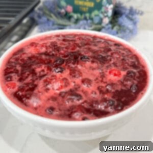 homemade cranberry sauce without gelatin