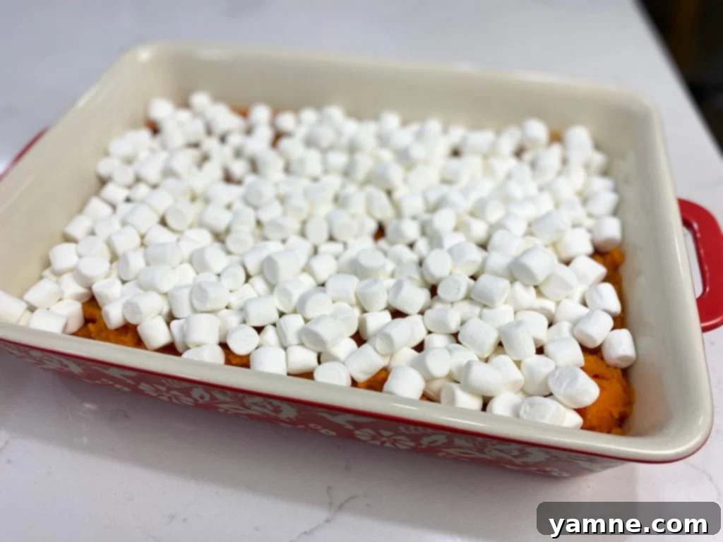 Close-up of ingredients for homemade sweet potato casserole