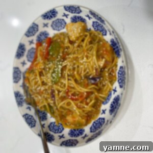 Savory Chicken and Vegetable Chow Mein 4 Chicken Chow Mein with Vegetables