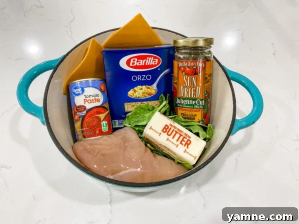 Creamy One-Pot Cajun Chicken Orzo with spicy chicken, sun-dried tomatoes, and cheesy orzo