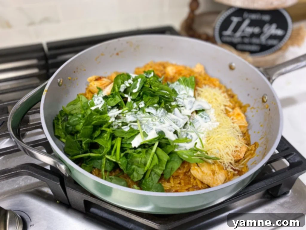 Close-up of creamy Cajun Chicken Orzo in a skillet, showcasing the rich sauce and tender chicken
