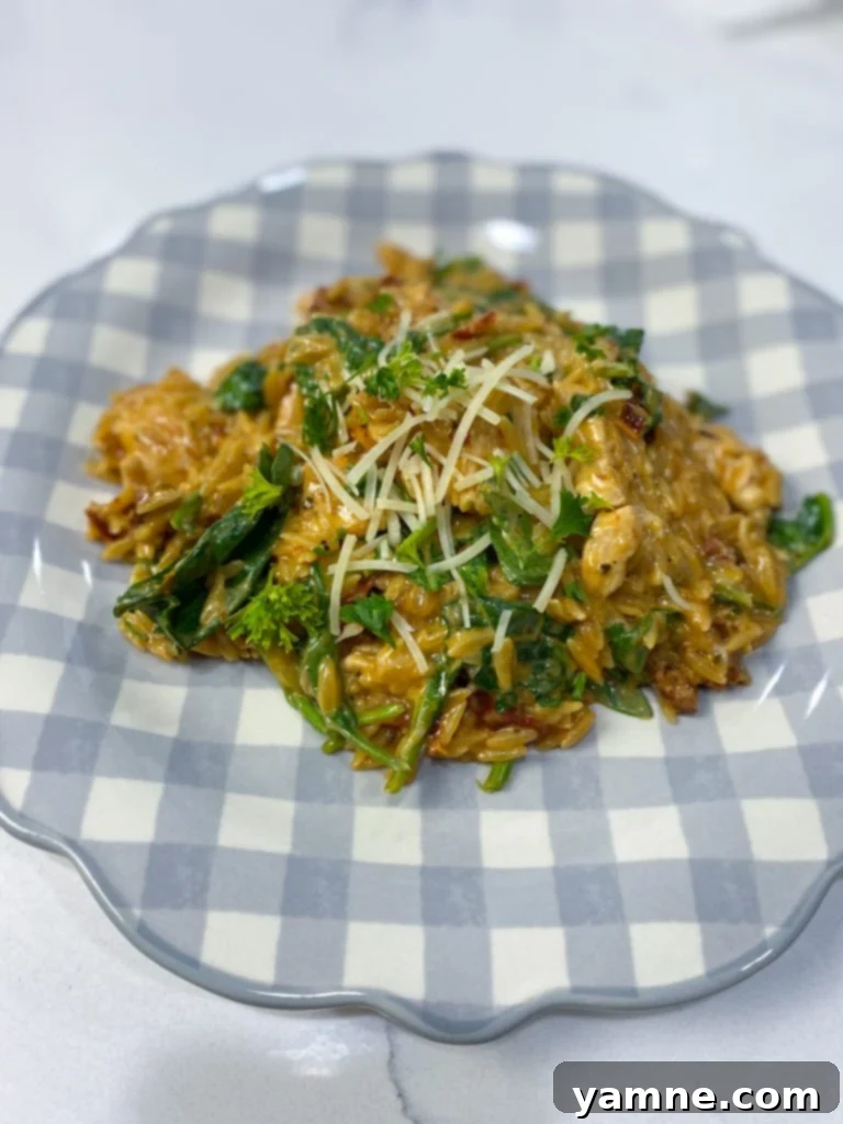 Portion of creamy Cajun Chicken Orzo garnished with fresh parsley in a white bowl