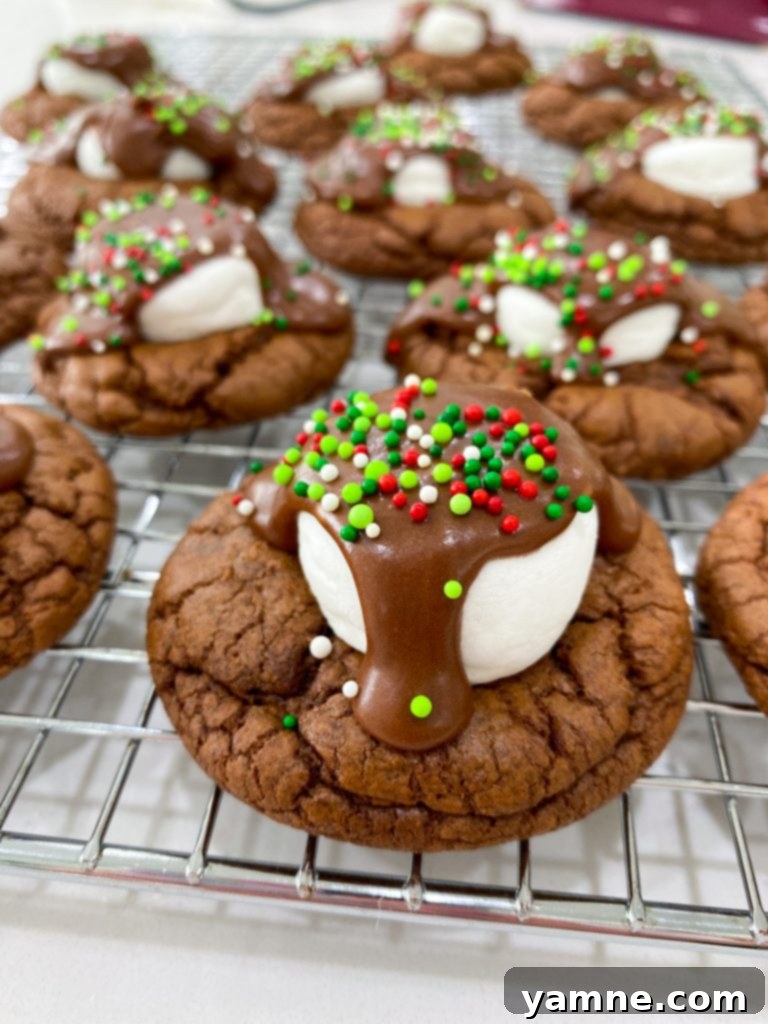 hot cocoa cookies with melted marshmallows and glaze