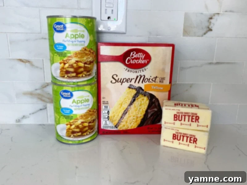 A delicious golden-brown Apple Dump Cake in a baking dish, ready to be served, highlighting its irresistible crust.