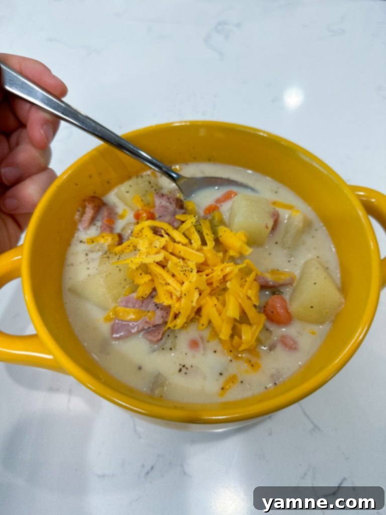Bowl of Ham and Potato Soup