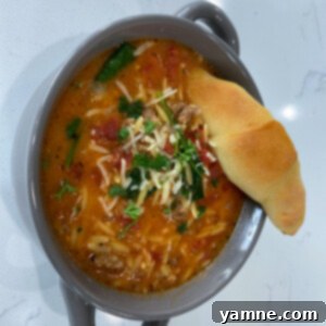 bowl of sausage orzo soup