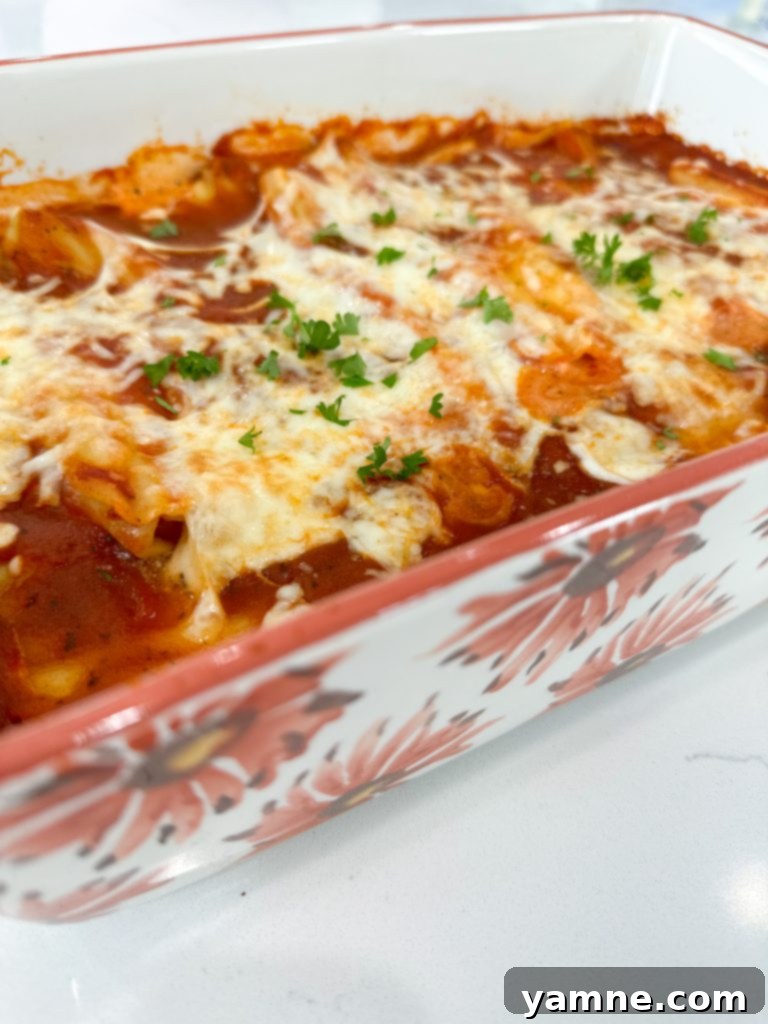 Plated serving of easy cheese manicotti, garnished with fresh herbs.