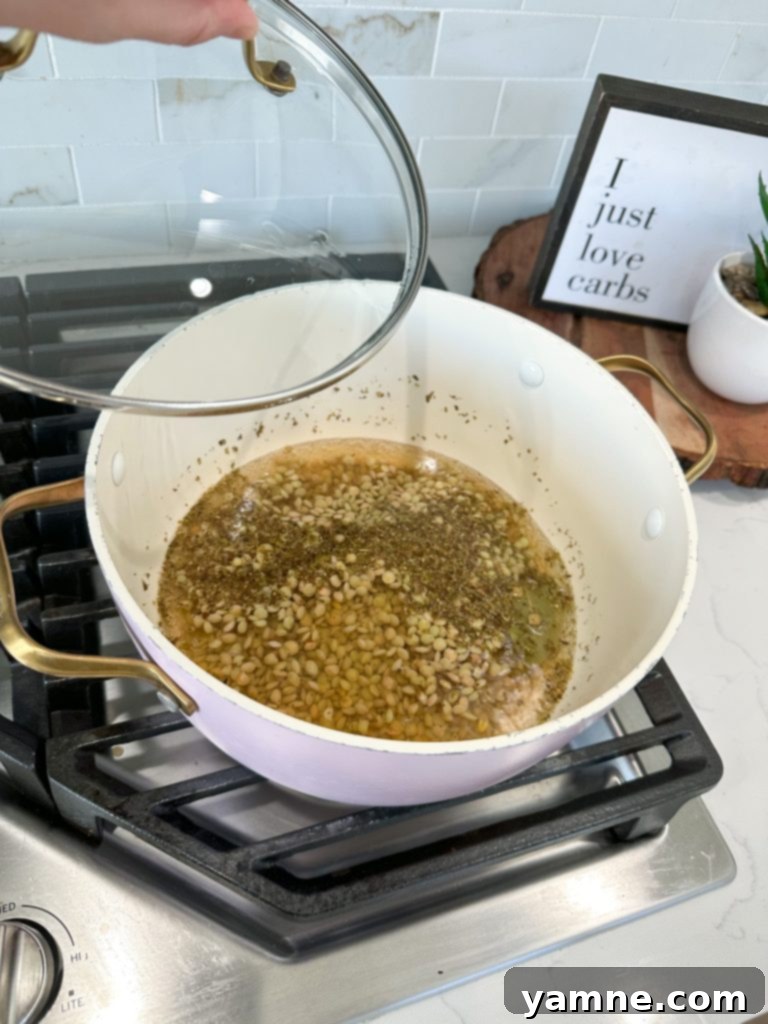 Lentil Pasta Primavera 3 Lentil Spaghetti Ingredients