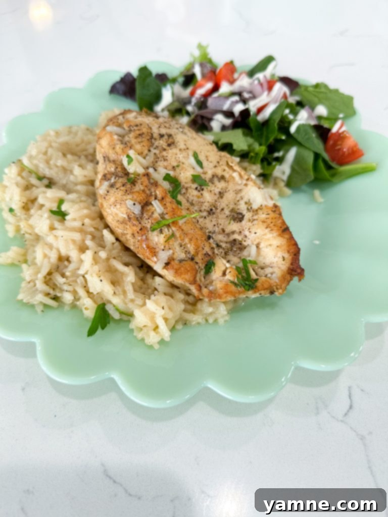 One Pot Lemon Chicken and Rice ready to serve