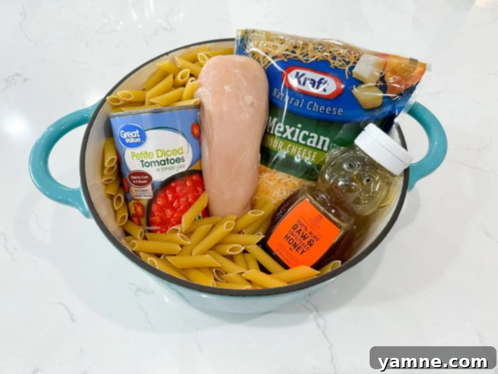 Tomato Honey Pasta with Chicken