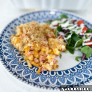 Cheesy Ham Macaroni Bake 6 Cheesy Ham Macaroni and Cheese Casserole hero image