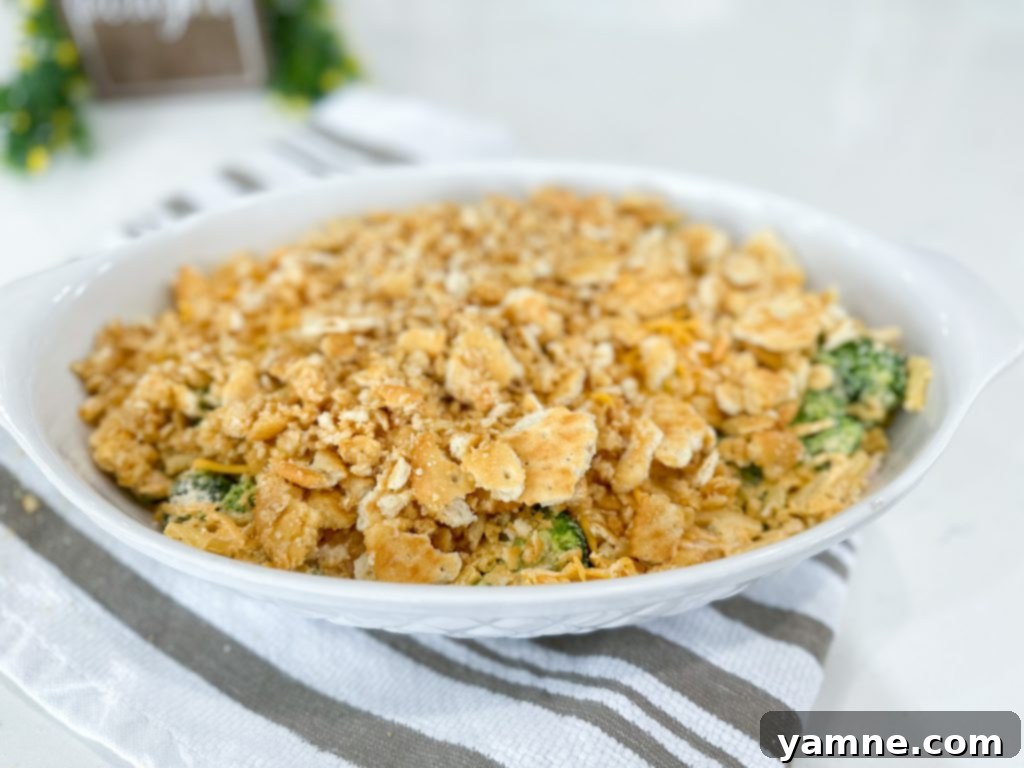 Close-up of Chicken and Broccoli Macaroni Cheesy Casserole