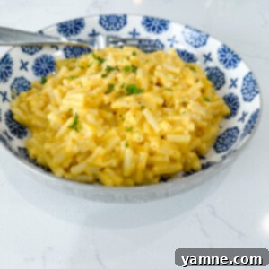 Upgraded Mac and Cheese Recipe