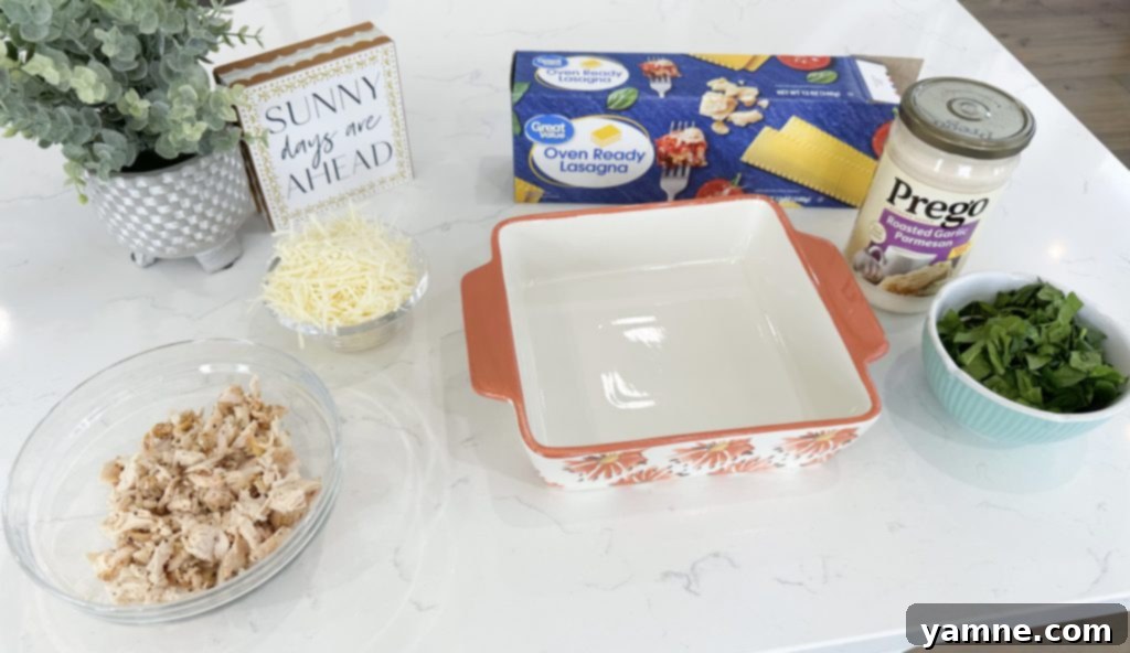 Ingredients for chicken and spinach lasagna laid out on a kitchen counter: a jar of Alfredo sauce, cooked shredded chicken, lasagna noodles, fresh spinach, and shredded mozzarella cheese.