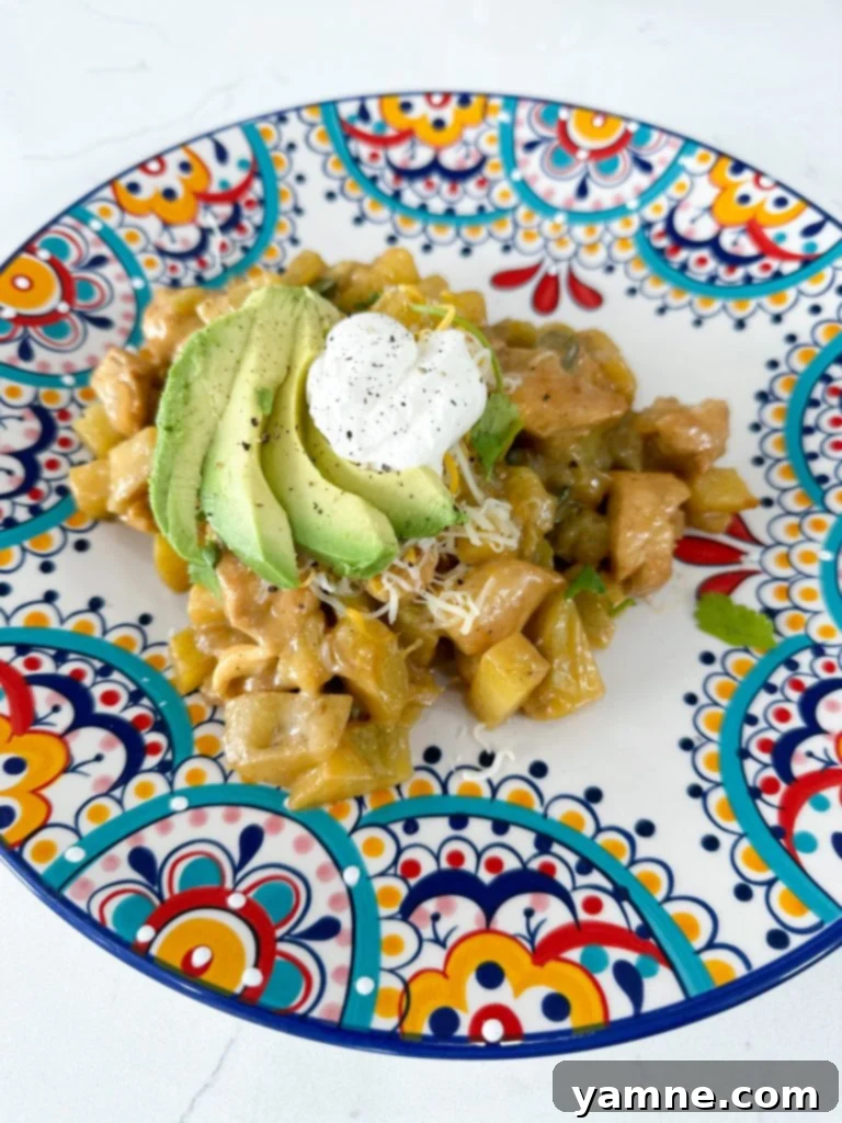 Close-up of cubed chicken breast seasoned with spices for green chile chicken