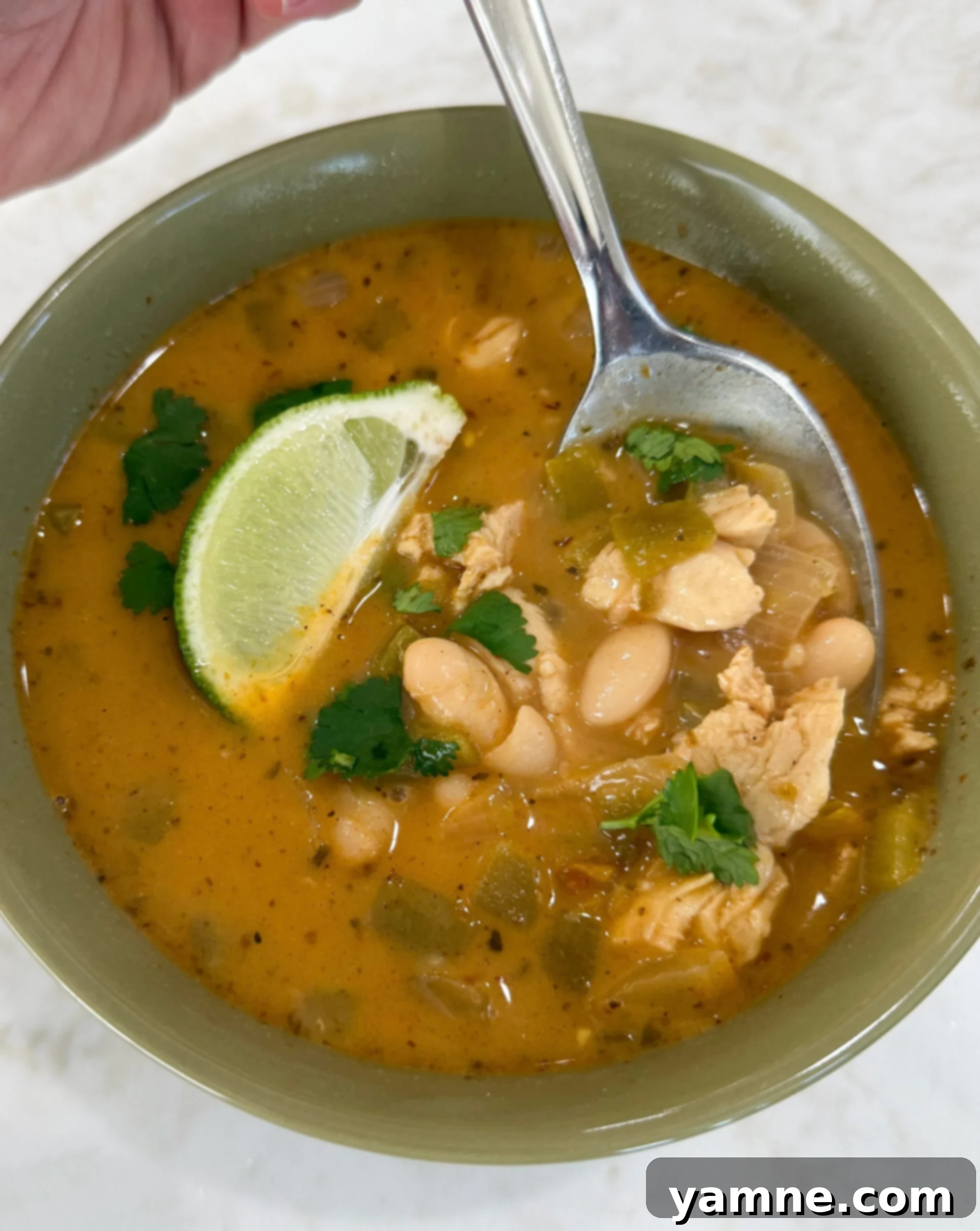 easy white chicken chili recipe
