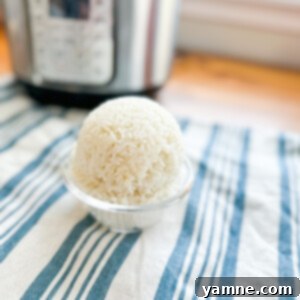 Perfectly cooked Instant Pot White Rice